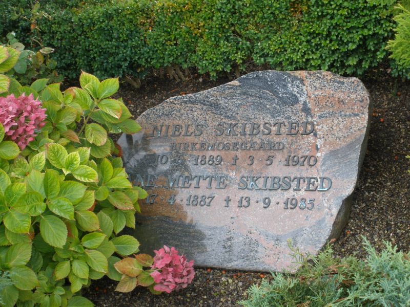 Niels Skibsted.JPG